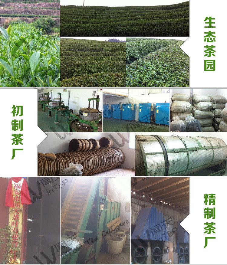 闻天茶叶 闻天茶业 闻天茶叶有限公司